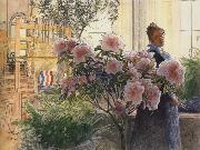 Carl Larsson Azalea oil on canvas